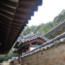 생1리 | 구미 금오서원 여행, 야은 길재의 충절이 깃든 남산 아래의 고요한 시간 ; 금오산·낙동강이 평화로운...