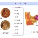 건강플러스365