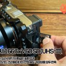 코덱푸드