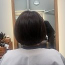 헤어 팡 네이버블로그