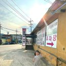 여주-0120 | 아이도 좋아한 팔당원조칼제비보쌈 곤지암 본점 🥢 주말 가족 외식지 추천