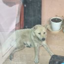 백운상사