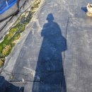 룰루베리팜 이미지