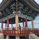 세븐일레븐 울진후포드림점 | 울진 여름휴가 (8.15-8.18)