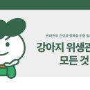 대구동물병원 이미지