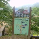 솔향기마을 이미지