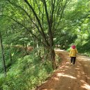 은혜의 뜨락 | 산행은 낭만이다. - 계족산
