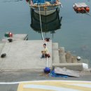 고성버드리민박 이미지