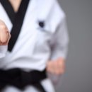 한국체대국제태권도 이미지