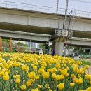 밝은햇살한의원 이미지