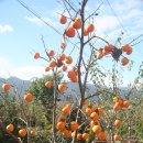 하늘아래 첫동네 이미지