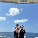 나의 행복을 위한 가족세우기 | 세부 골드호핑 /23개월 아기랑 세부 호핑투어 /세부 호핑투어 추천 /골드호핑 자세한 후기