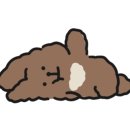 경포딩가펜션 이미지