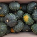 철원농장 이미지