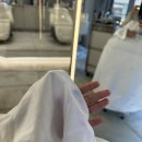 나혜 | 압구정로데오역 미용실 여자 숏단발 맛집 비젠트헤어 나혜 실장님 커트 후기