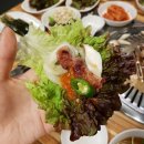 [합정역 맛집] 합정 고기집 &#39;마포 우가돈 숯불구이전문&#39; 도드람한돈세트 추천후기