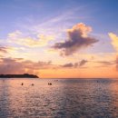 프로24(1111) 이미지