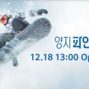 양지-12 이미지