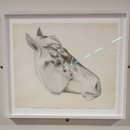 추상으로 가는 길 : 추상화에 대한 오해와 이해 | [부산현대미술관] 힐마 아프 클린트 : 적절한 소환 (2025.07.19~10.26)