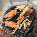 아요하우스 이미지