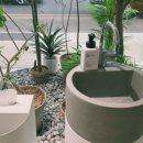 쿠스까페 이미지