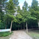 용의발광장 이미지