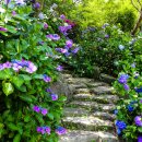 부산 영도 태종대 이미지