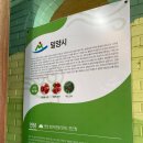 상동초등학교 | 밀양 폐교에서 먹는 건강한 정식집 - 연담 솔직한 후기