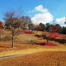 모동초등학교 이미지