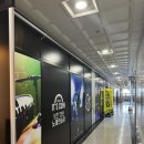 피크닉 코인 노래연습장 이미지