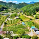 내촌천 이미지