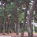망양리 대게공원 네이버블로그