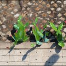 복산동-4 이미지