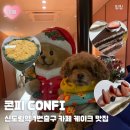 GS25 신곡은하수점 | [카페] 신도림 콘피 케이크 후기 | 신도림역 1번출구 느좋 반려동물 동반 카페 위치 가격 메뉴