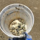 구공스테이 안토이 비토 이미지