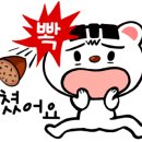 세줄디자인