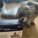 감자와 맛동산 이미지