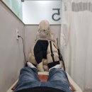 강중식신경외과의원 티스토리