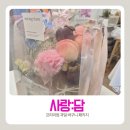 과일담 - 양산시 백호로 92 | 대전 과일바구니 선물[ 사랑:담 ] 프리미엄 과일 선물 포장에 감동후기