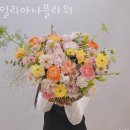 일리아나플라워