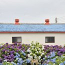 협재바다보라 이미지