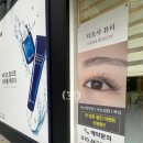 보비킴에스테틱