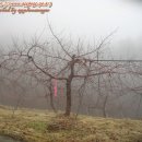 하늘농장4 이미지