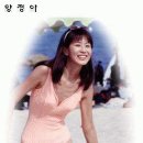 보니 이미지