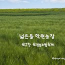 자연농장 | 전북 고창 청보리밭 넓은들 학원농장 축제 일정 기간 및 입장료 주차