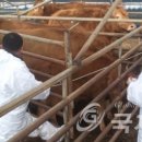 전북대 익산캠퍼스 이미지