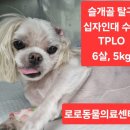 로로동물의료센터 이미지