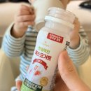 주식회사 놀이터코리아 | 햇풀먹인 목초 마시는 요거트 딸기 블루베리 후기｜락토프리 요거트 추천