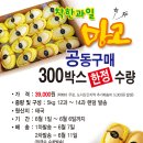 착한과일