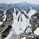 용평리조트 매일경제